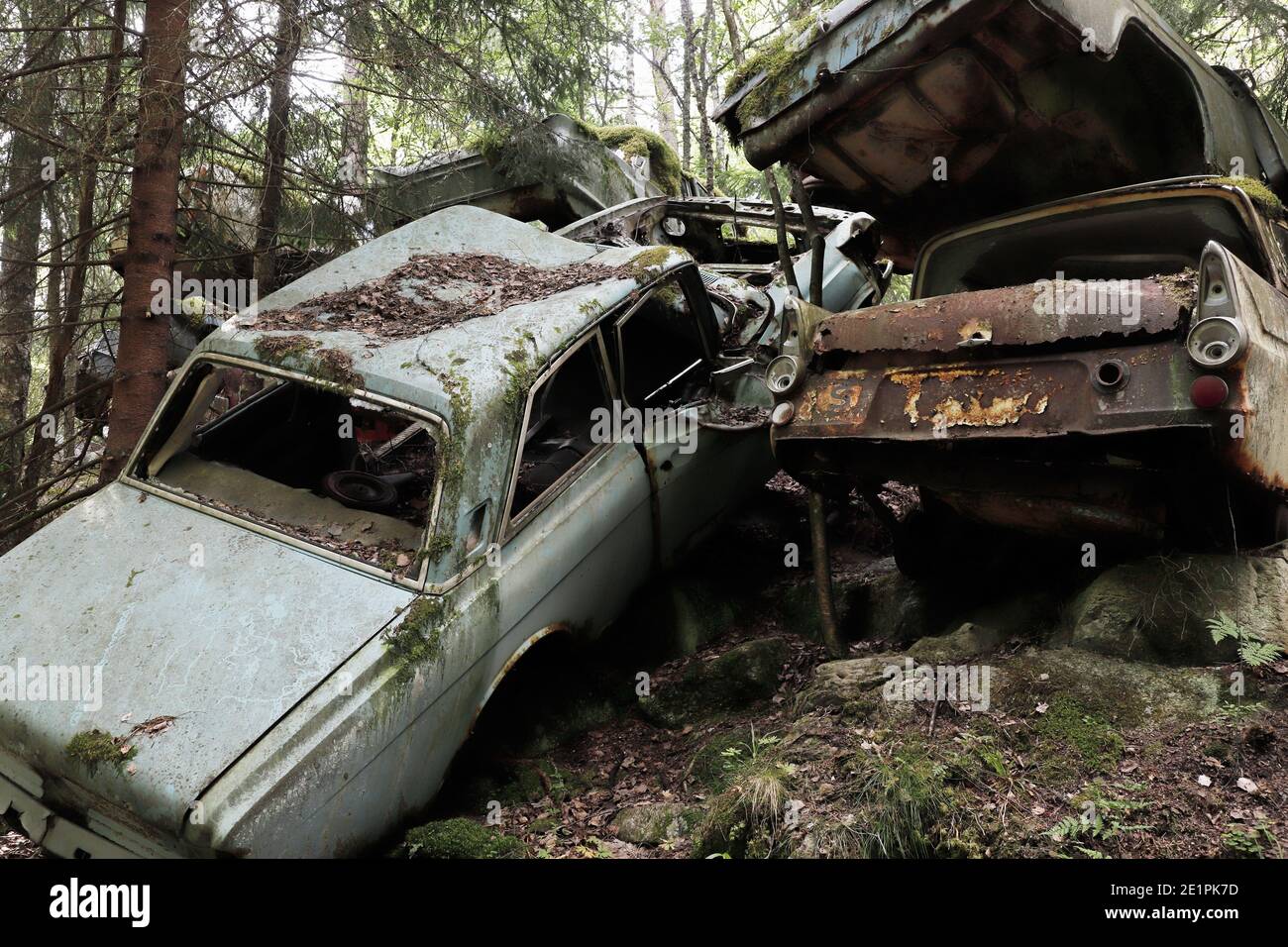 Des voitures anciennes rouillent dans la forêt Banque D'Images
