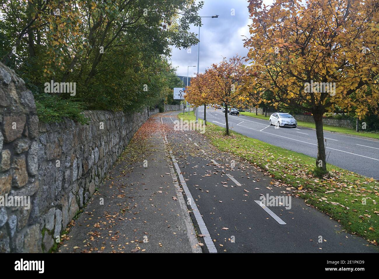 Beaucoup de feuilles d'automne colorées tombées sur le trottoir et le chemin de vélo à côté d'une clôture en pierre, Dublin, Irlande. Mise au point douce et sélective. Vue aérienne Banque D'Images