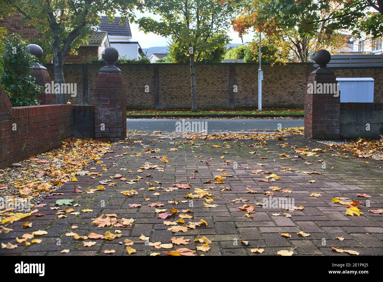 Belle vue automnale d'une cour typiquement irlandaise avec des feuilles d'orange mortes sur la chaussée, Ballinteer, Dublin, Irlande Banque D'Images