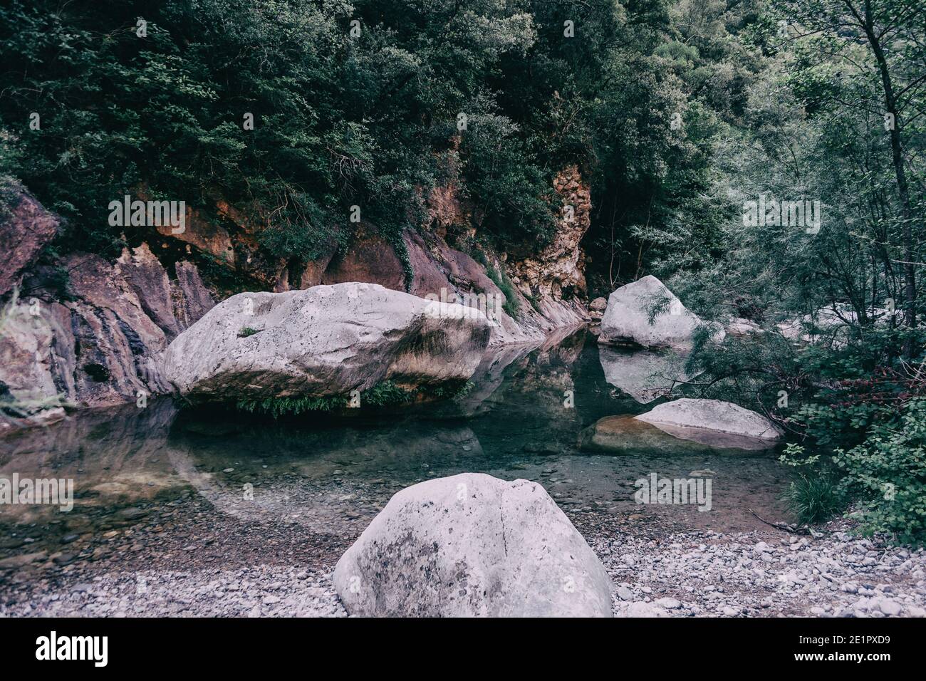 Paysage de montagnes verdoyantes à sadernes, catalogne, espagne Banque D'Images
