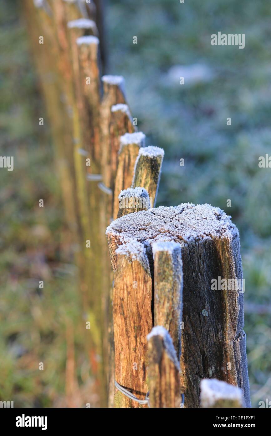 L'hiver dans le citypark Scadjk Banque D'Images