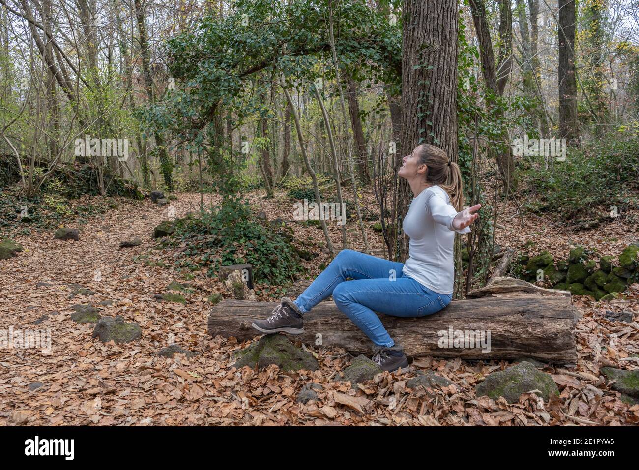 Bonne femme aux bras ouverts et Jean tendance assis Sur un arbre dans la forêt.célébration et concept de bonheur.Voyage wanderlust style de vie dans Banque D'Images