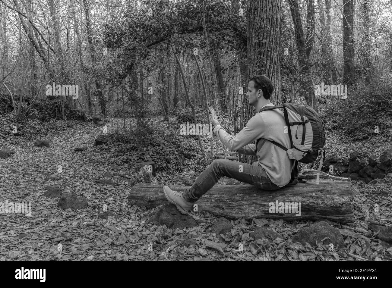Homme utilisant un smartphone assis avec un sac à dos sur un arbre Dans la forêt.style de vie de randerlust.Travel Wanderlust concept.couleurs noir et blanc avec Banque D'Images