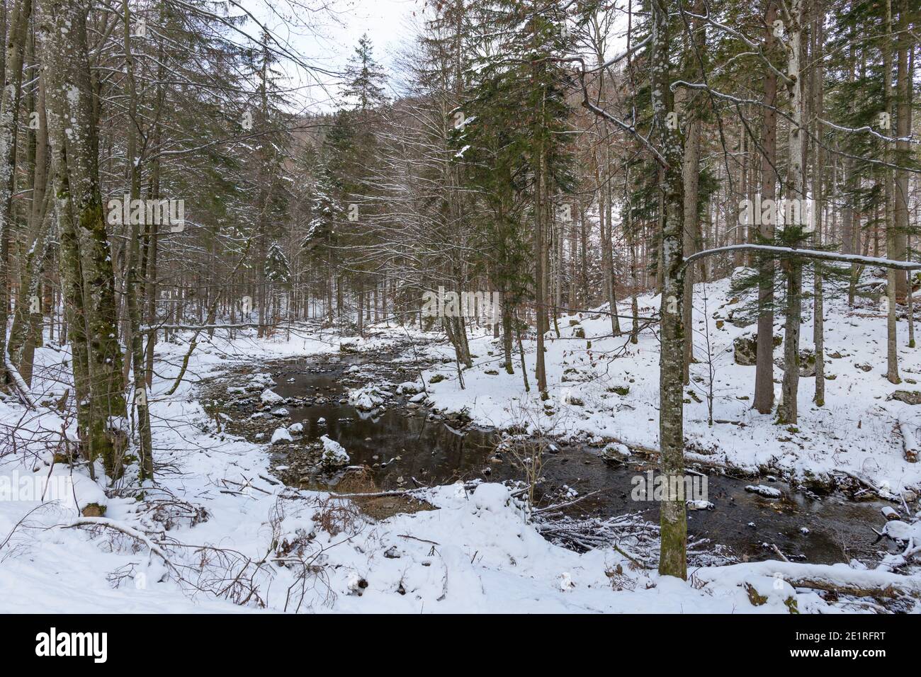 rivière près du lac langbathsee dans la région autrichienne supérieure salzkammergut Banque D'Images