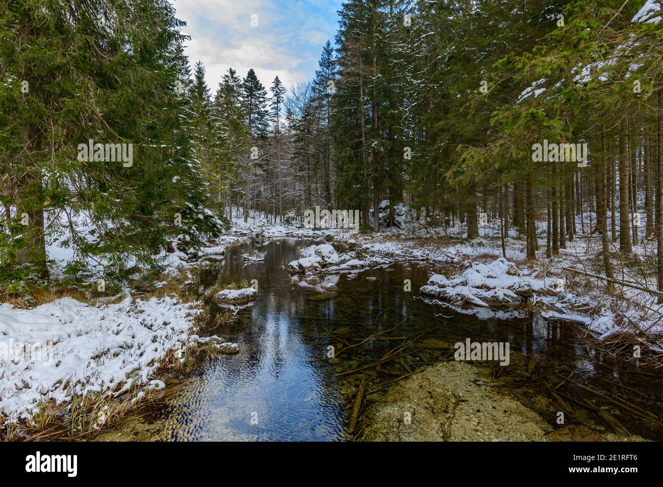 rivière près du lac langbathsee dans la région autrichienne supérieure salzkammergut Banque D'Images
