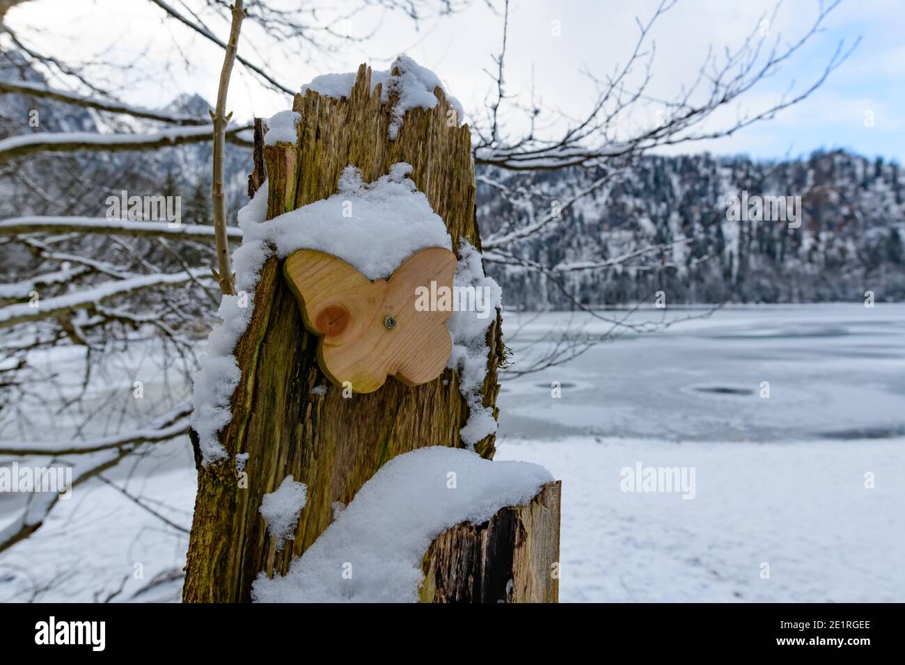 papillon en bois près du lac d'offensee dans la région autrichienne salzkammergut Banque D'Images