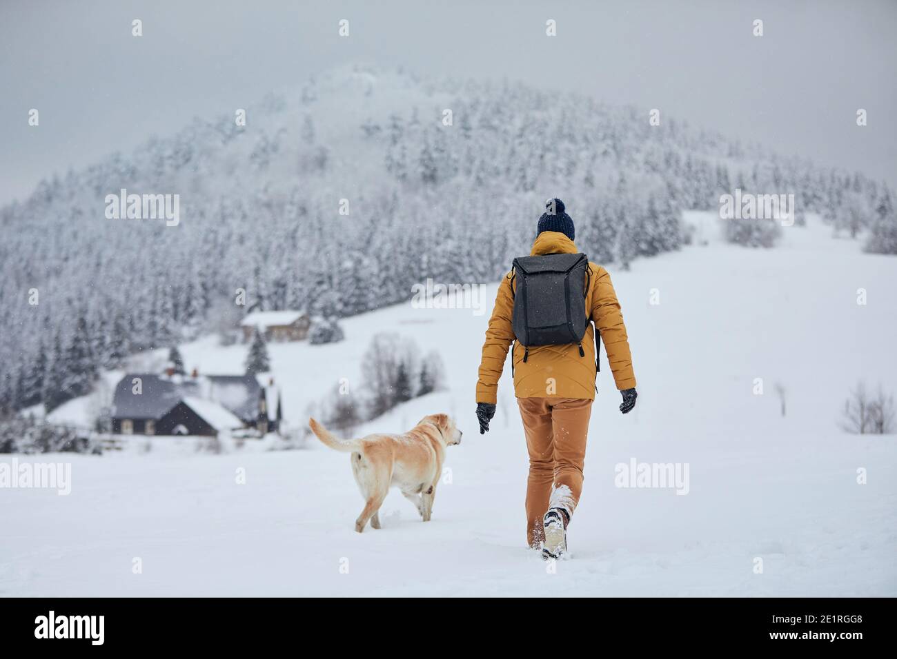 Vue arrière du jeune homme avec chien en hiver. Le propriétaire d'animaux de compagnie avec son labrador retriever marchant contre le vieux village dans une belle nature. Jizera montagnes, cz Banque D'Images