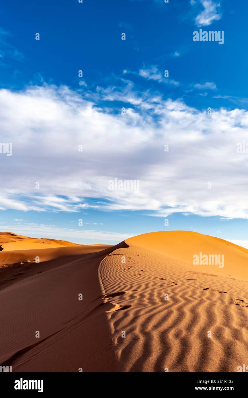 (Mise au point sélective) vue imprenable sur quelques dunes de sable illuminées pendant une journée ensoleillée à Merzouga, Maroc. Arrière-plan naturel avec espace de copie. Banque D'Images