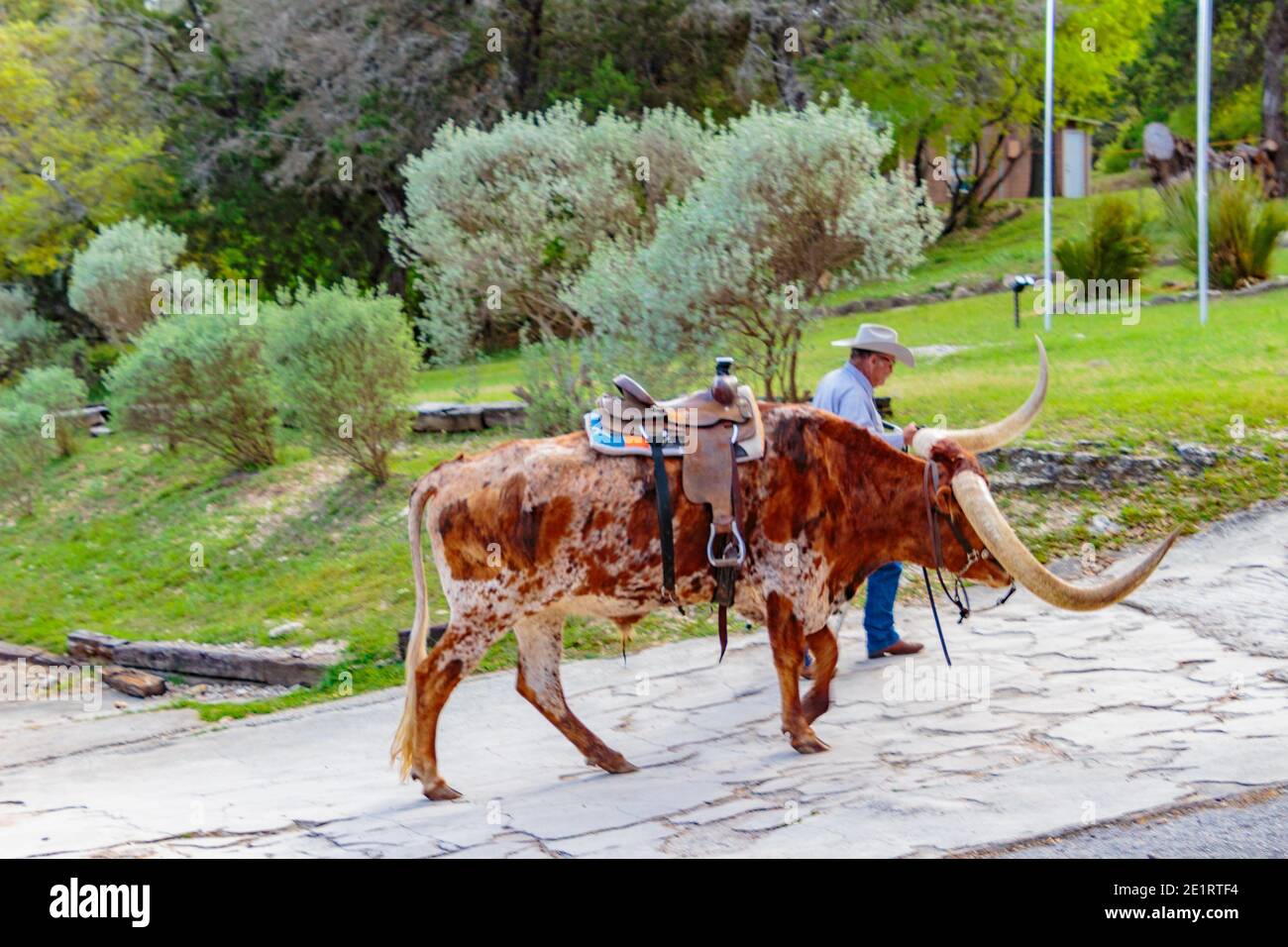 Mayan Dude Ranch - Bandera, Texas Banque D'Images