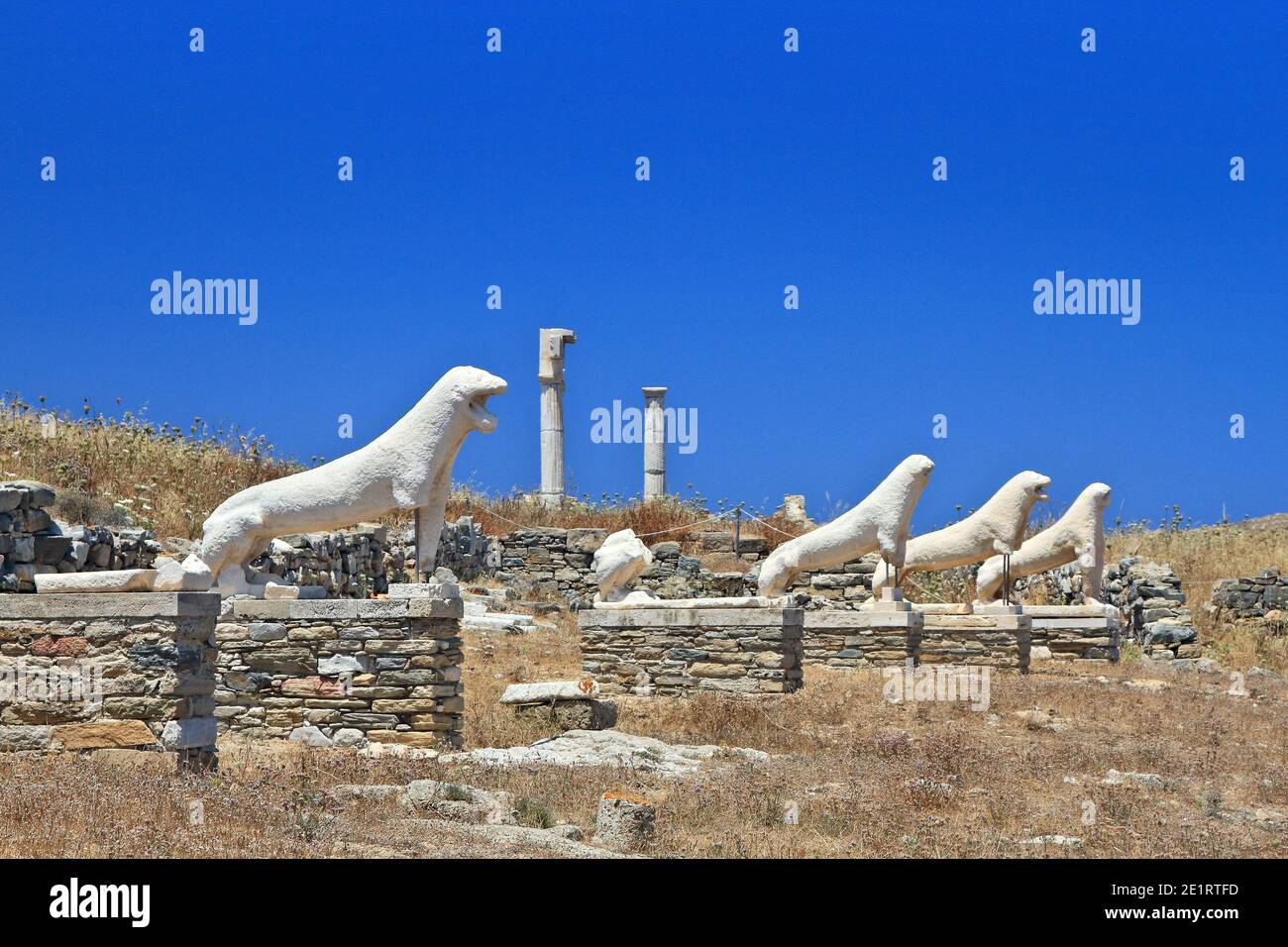 La terrasse des Lions (Naxian) sur le site archéologique de l'île « acred » de Delos. Cyclades, Grèce Banque D'Images