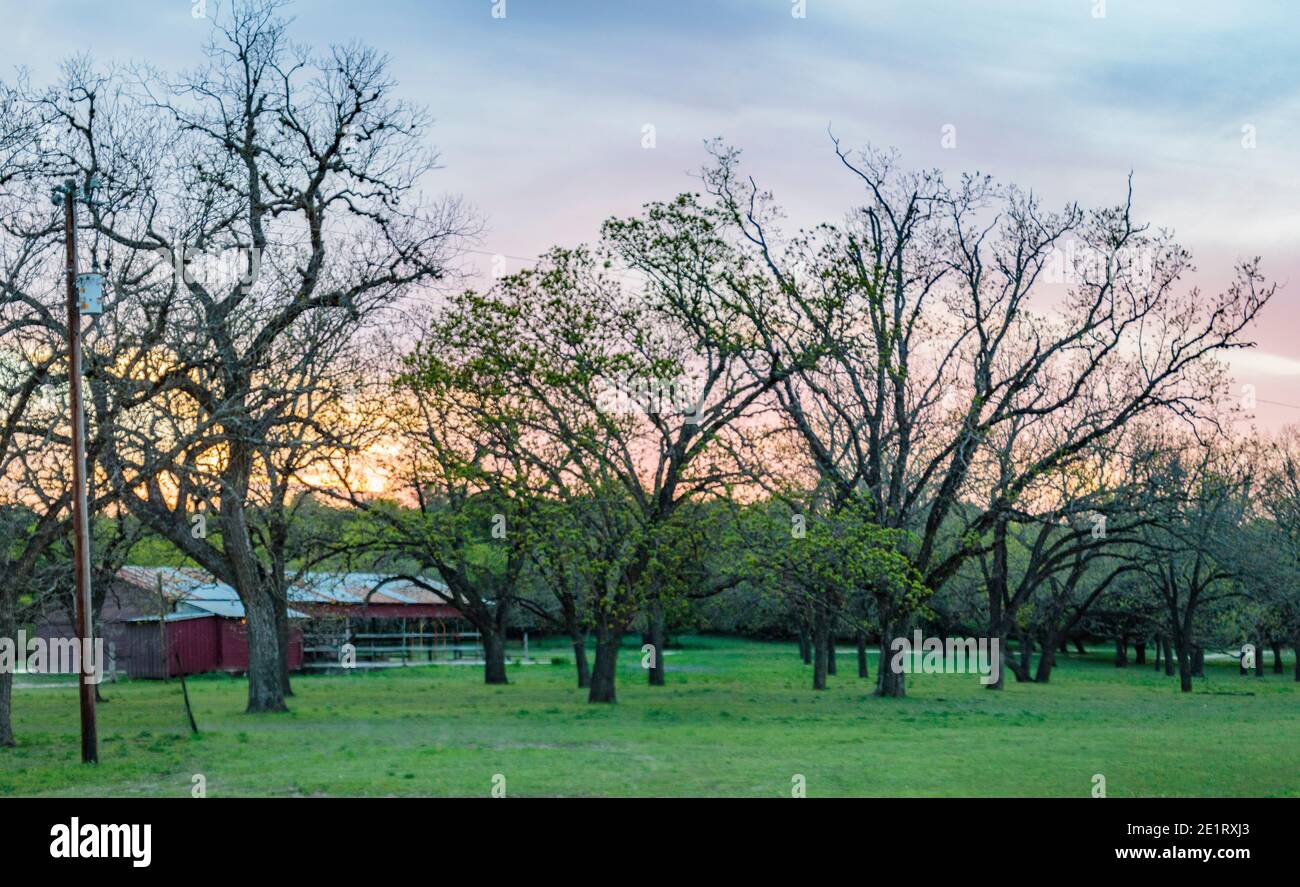 Mayan Dude Ranch - Bandera, Texas Banque D'Images