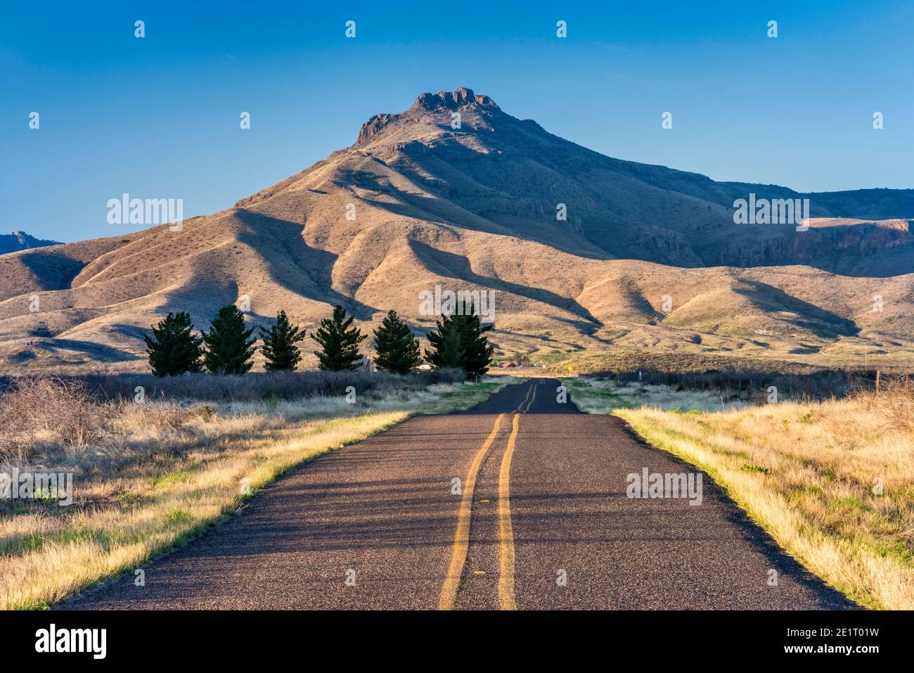 Big Aguja Mountain, RM 1832 Highway, au lever du soleil, Davis Mountains, Texas, États-Unis Banque D'Images