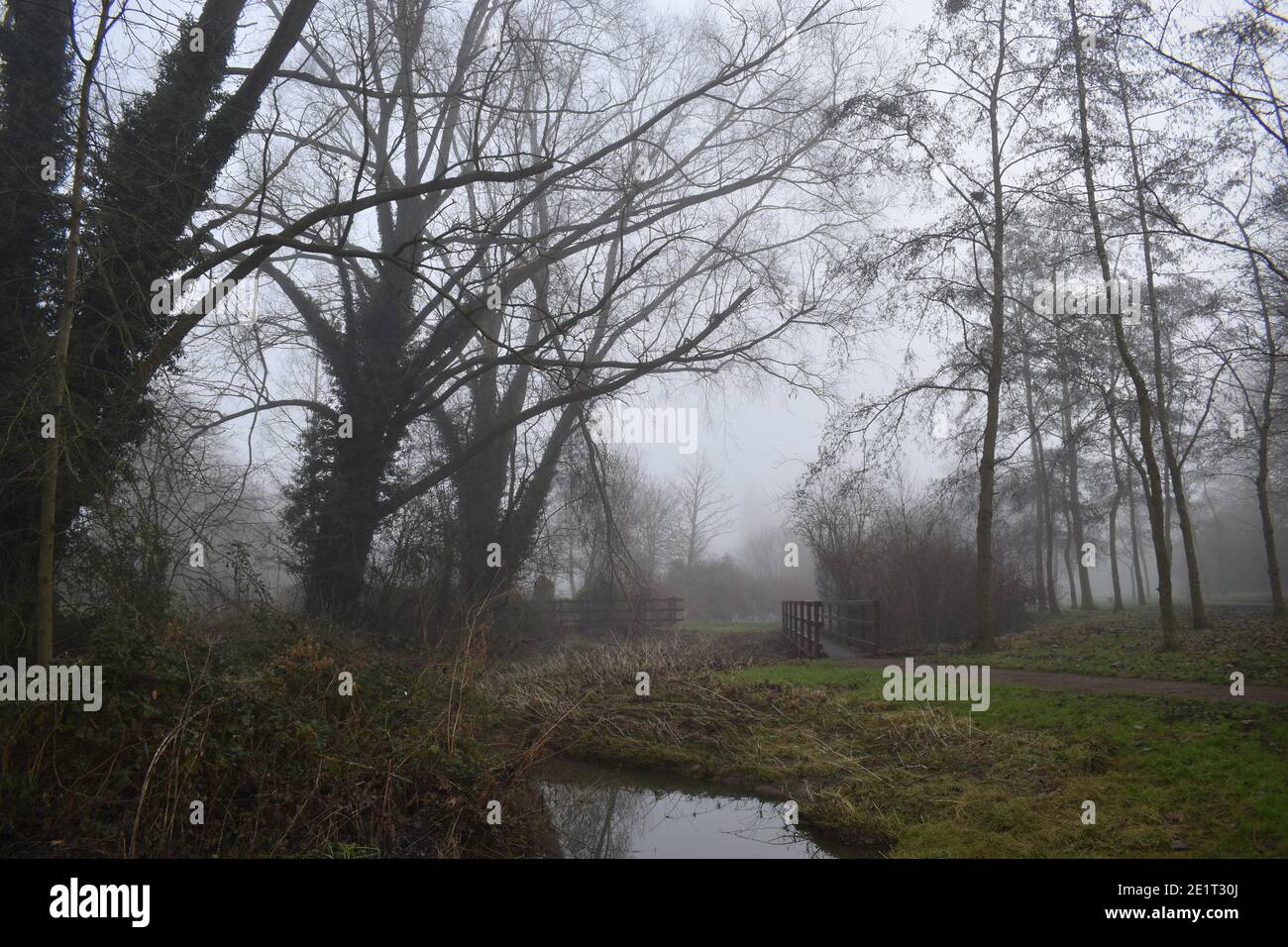 Brouillard dans le parc de la vallée de Tattenhoe à Milton Keynes. Banque D'Images