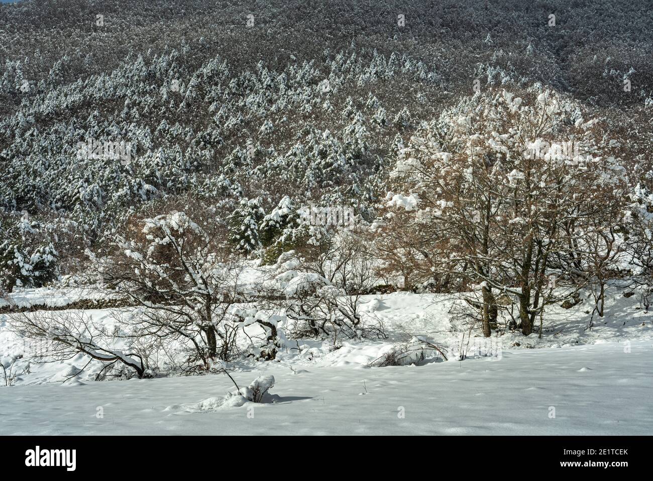 Paysage d'hiver avec les montagnes des Abruzzes Lazio et le parc national Molise couvert de neige. Abruzzes, Italie, Europe Banque D'Images