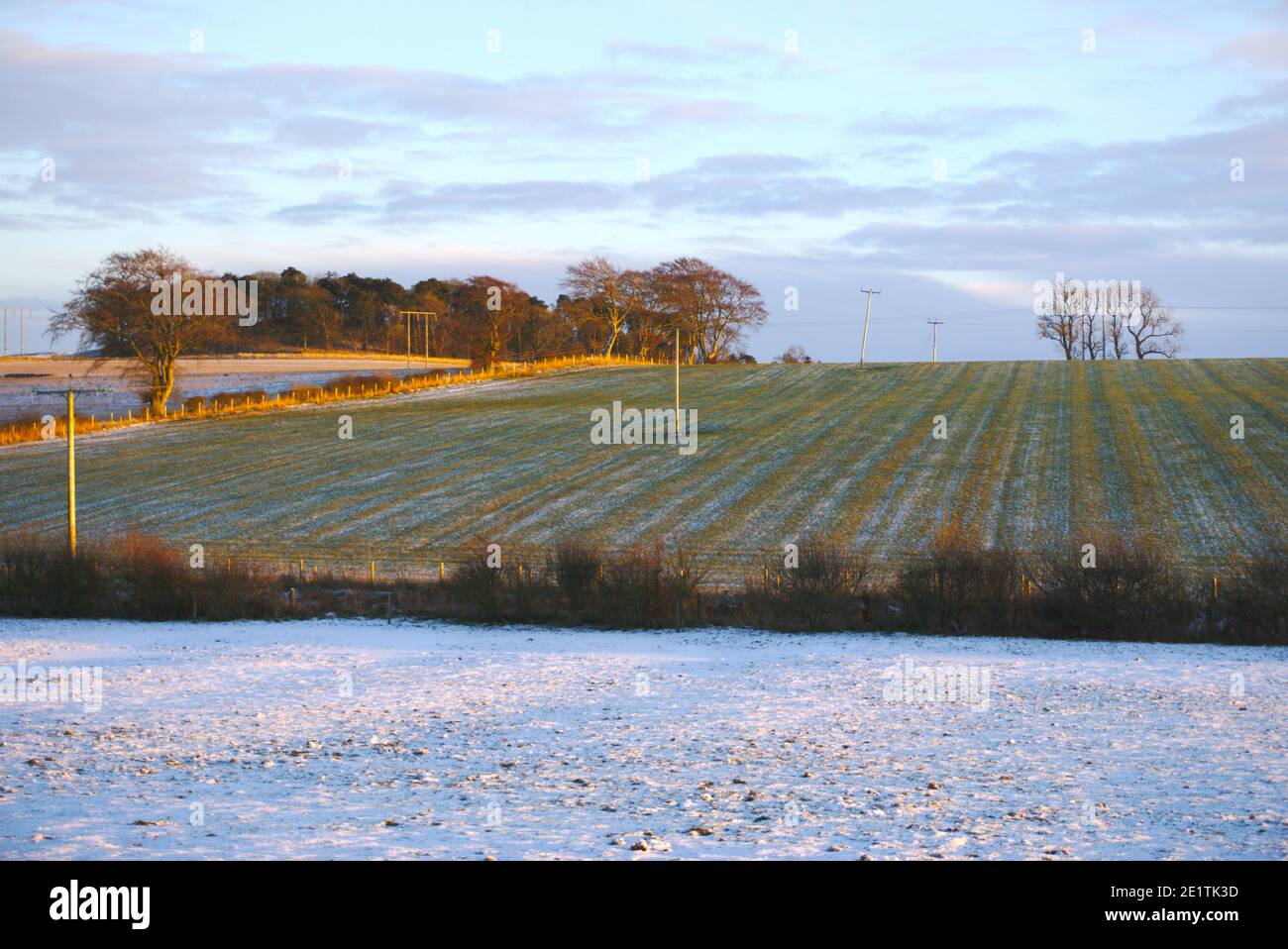 Vue sur un champ enneigé jusqu'à une colline illuminée par un coucher de soleil d'hiver, Berwickshire, Scottish Borders, Écosse, Royaume-Uni. Banque D'Images