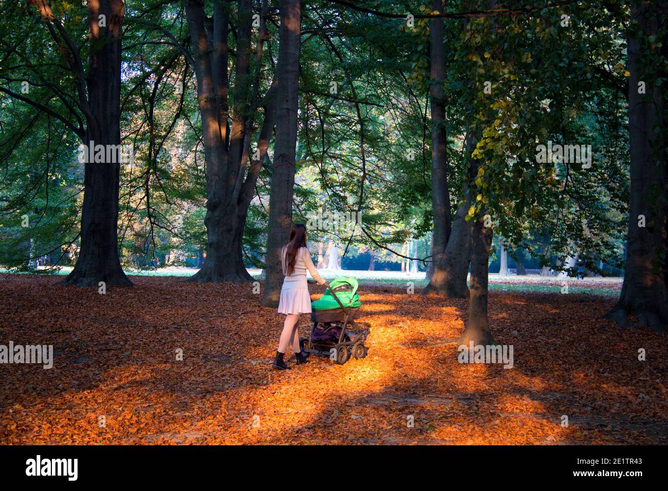 Jeune femme et nouveau mon marchant à l'extérieur avec bébé pram vue sur le dos, promenade dans la forêt d'automne paysage avec le sol recouvert de feuilles colorées Banque D'Images