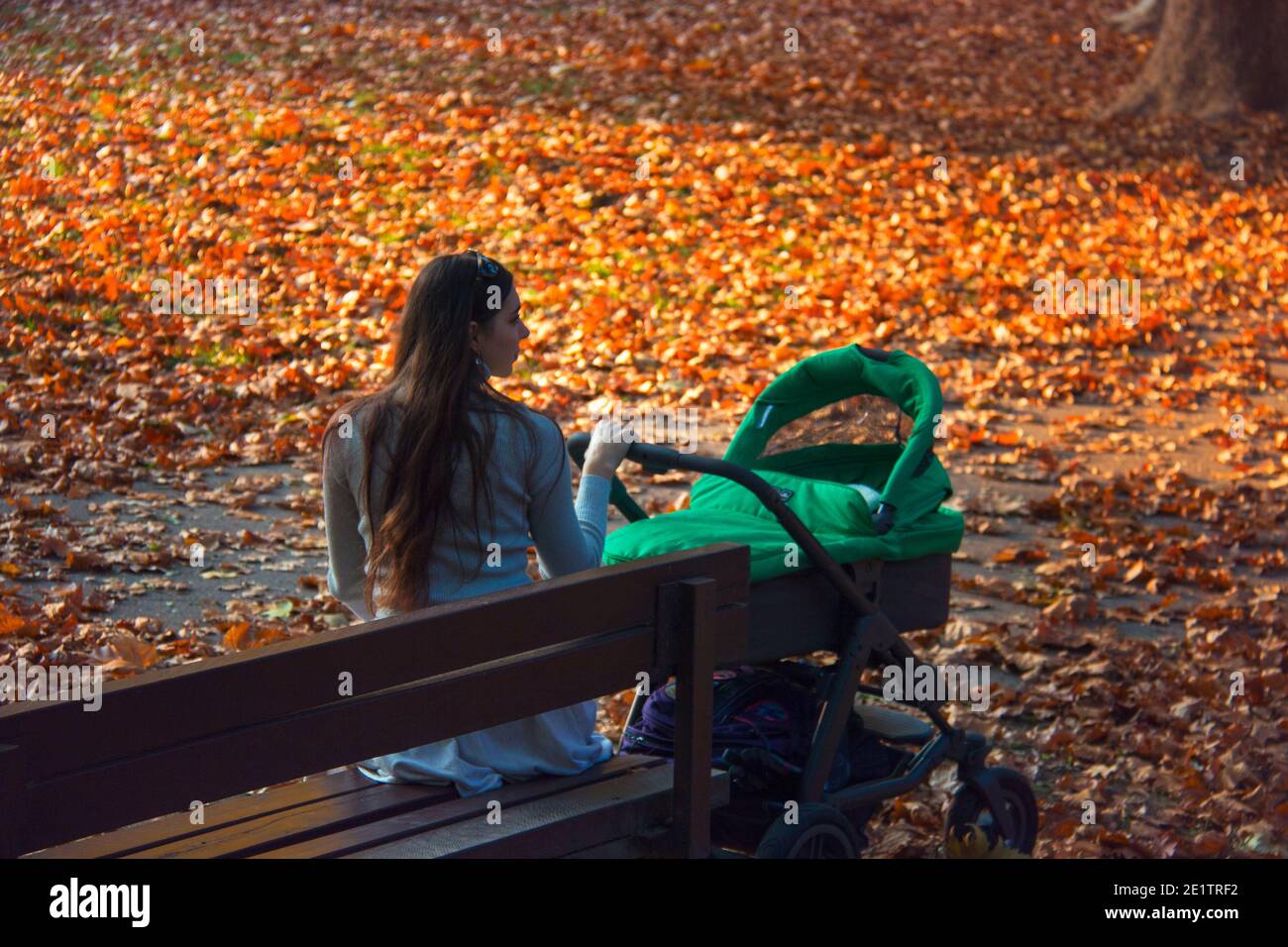 Vue arrière d'une femme qui s'occupe d'un bébé dans une poussette verte le beau jour d'automne, mère assis dehors sur un banc de parc en bois Banque D'Images