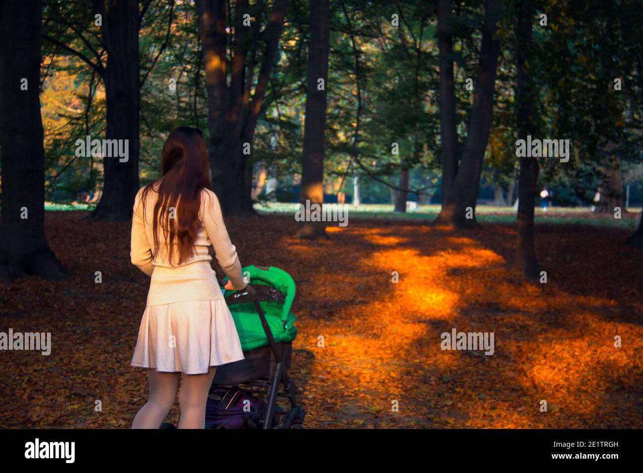 Vue arrière de la jeune mère dehors avec bébé pour poussette promenade dans le jardin d'automne parc de chemin couvert par coloré feuilles et lumière dorée du soleil Banque D'Images