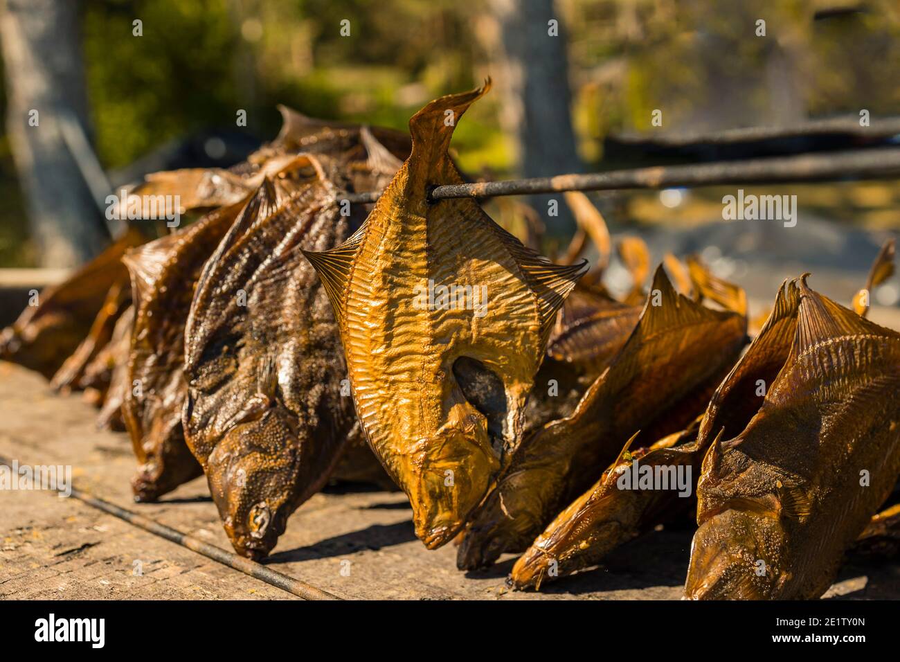 Usine de transformation du poisson. Poisson fraîchement fumé. Flet fumé, Banque D'Images