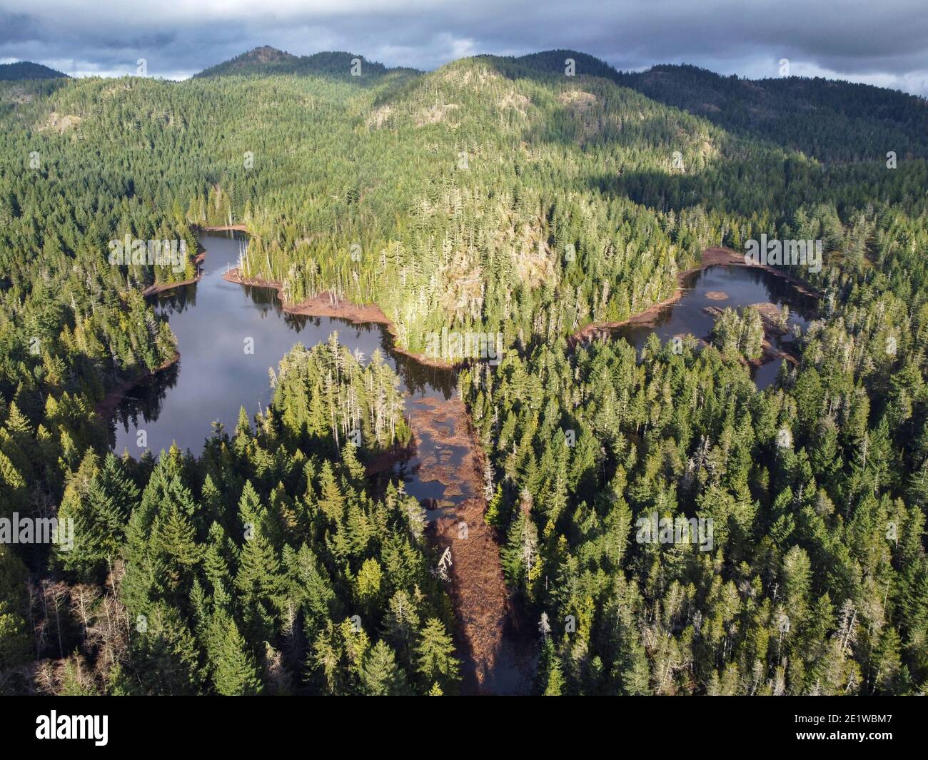 Grass Lake, Sooke Hills Banque D'Images