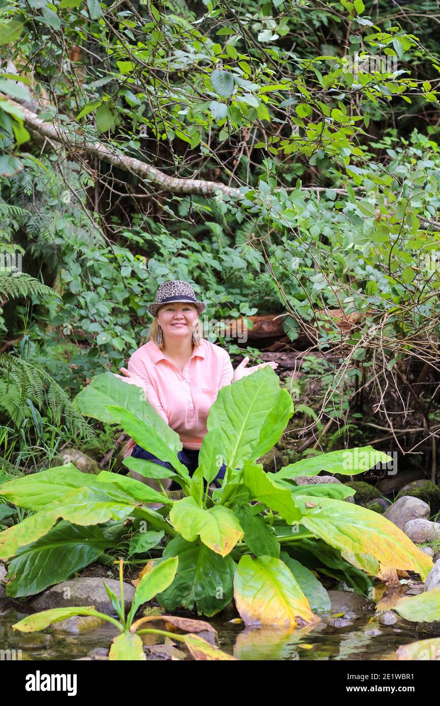 Jeune femme avec un chapeau regardant la caméra de derrière un Bush dans la forêt. Banque D'Images