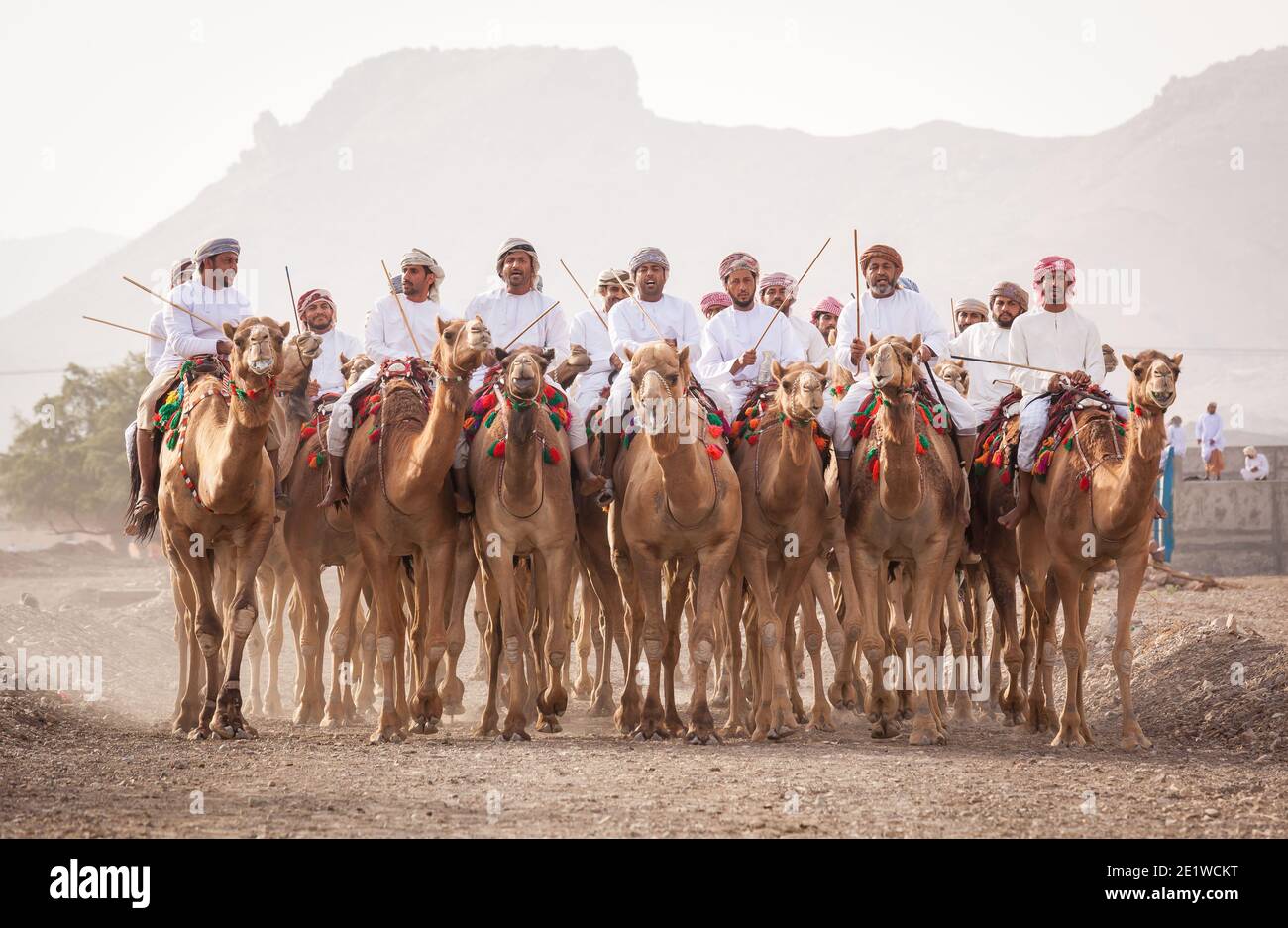 Khadal, Oman, 7 avril 2018 : des hommes qui font leurs chameaux sur une route de campagne poussiéreuse Banque D'Images