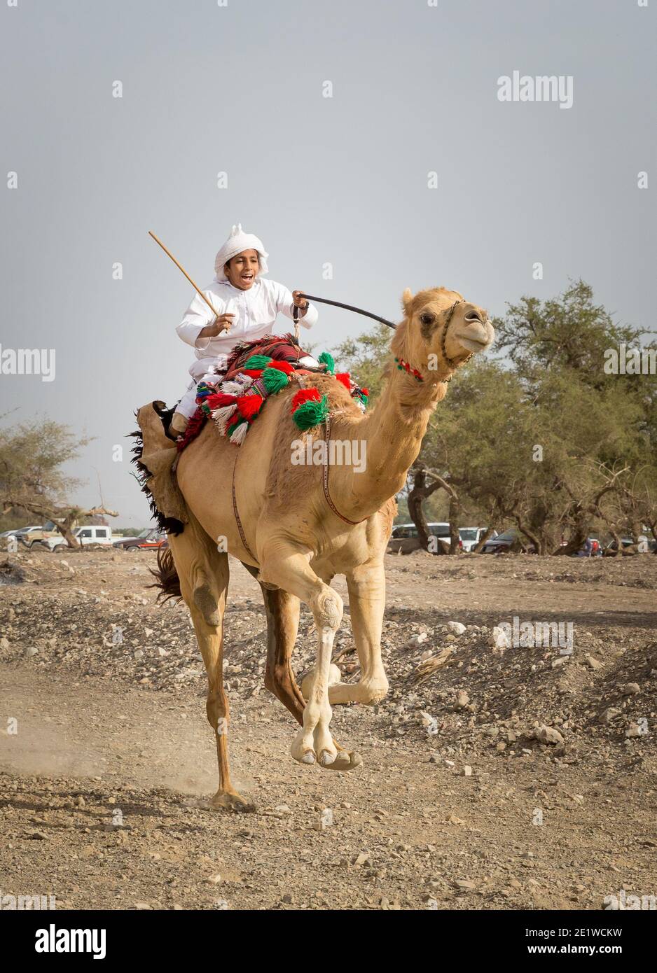 Khadal, Oman, 7 avril 2018: Youg homme course sur son Camel pour montrer son talent dans une route de campagne poussiéreuse Banque D'Images