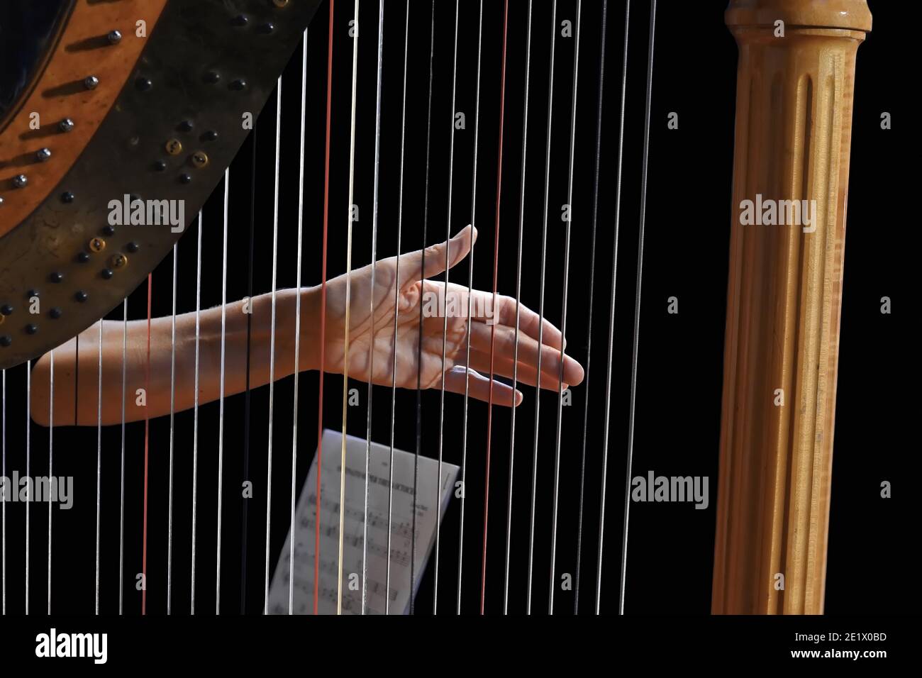 Lecteur de harpe. Harpiste de musicien classique jouant de la harpe. Femme musicienne jouant de la harpe. Détails. Banque D'Images