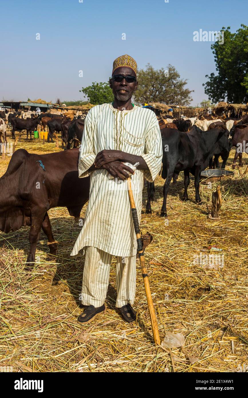 Fier éleveur de bétail sur le marché des animaux, Niamey, Niger Banque D'Images
