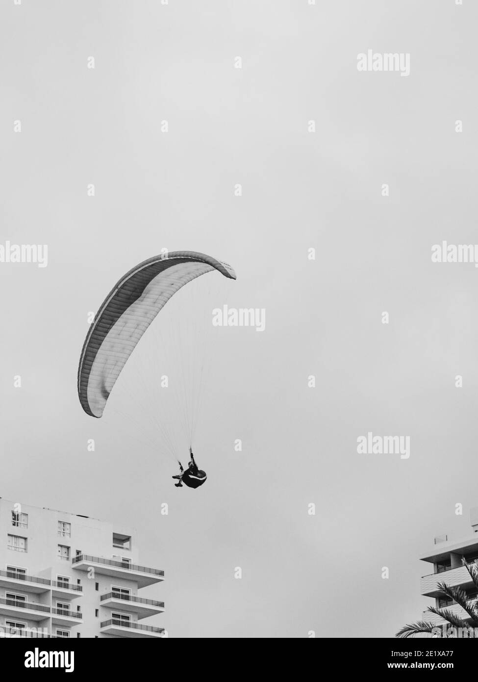 Photo noir et blanc du parapente dans l'air Banque D'Images