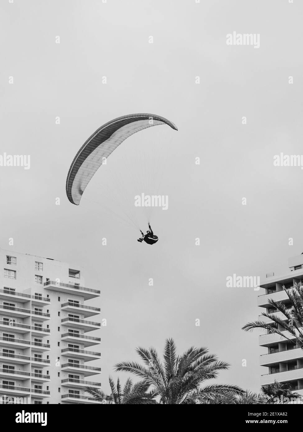 Photo noir et blanc du parapente dans l'air Banque D'Images