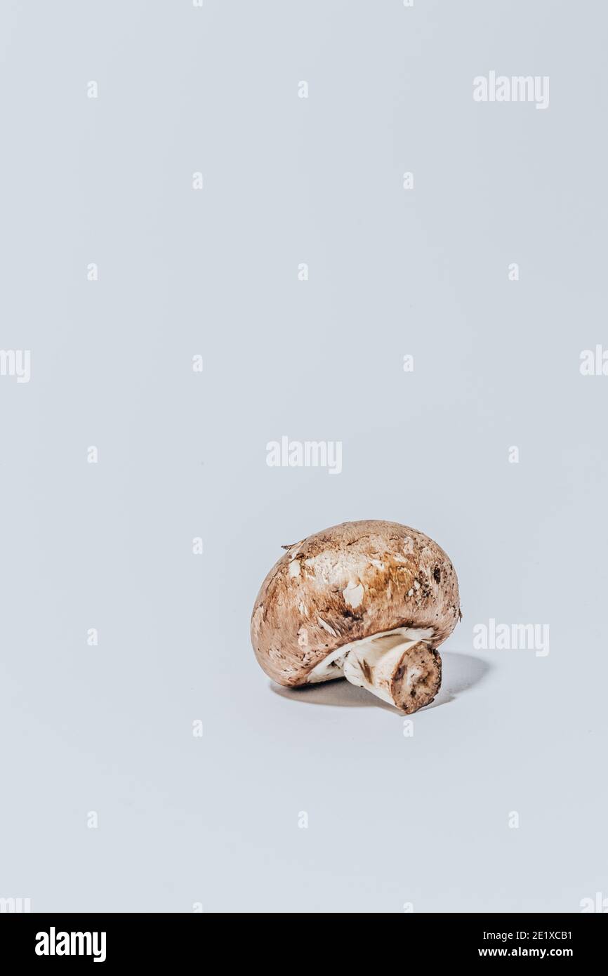 Bouton champignon sur fond blanc Banque D'Images