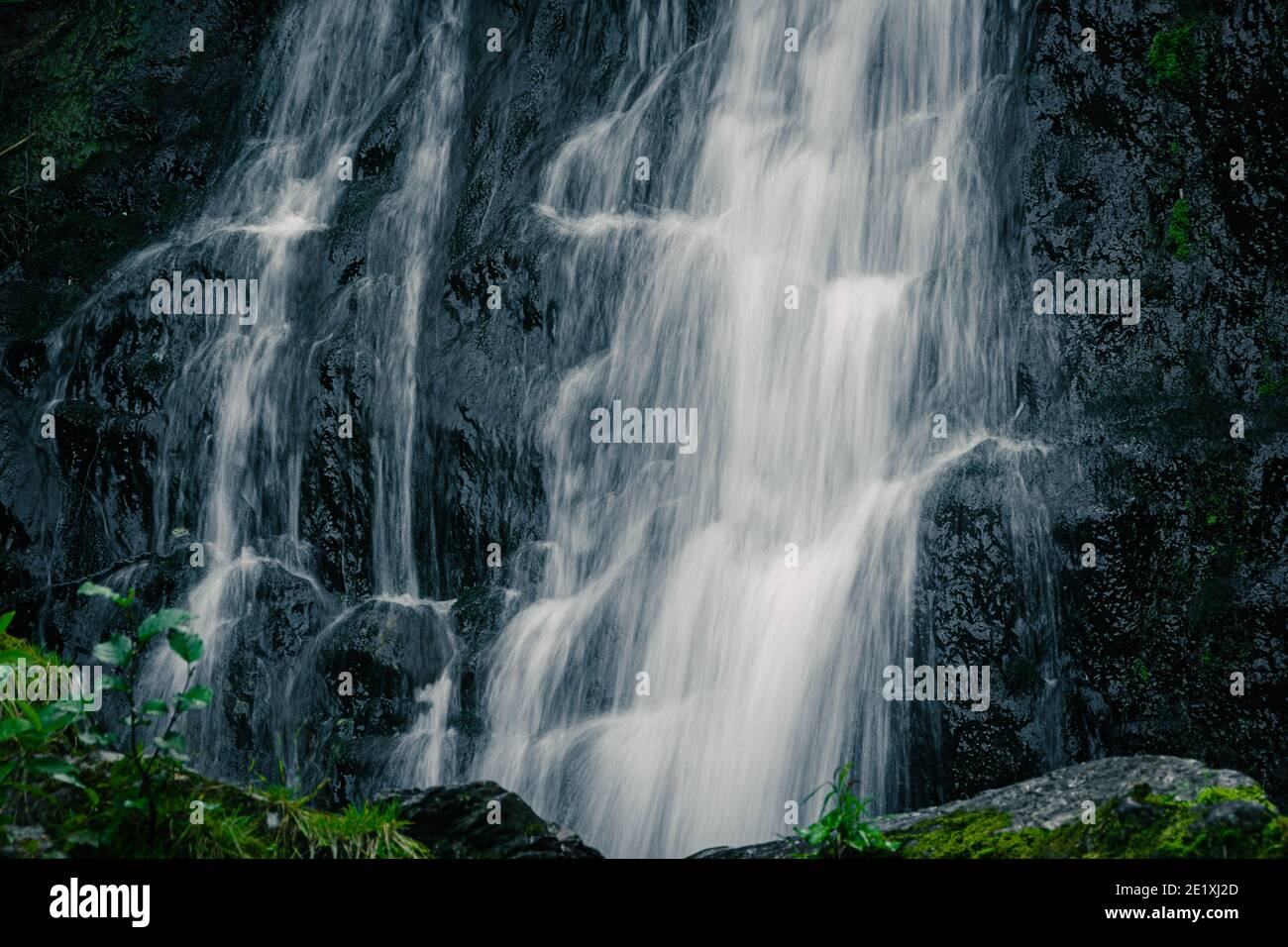 Vue sur la cascade dans la forêt tropicale. Ruisseau rapide parmi les roches et la mousse verte. Banque D'Images