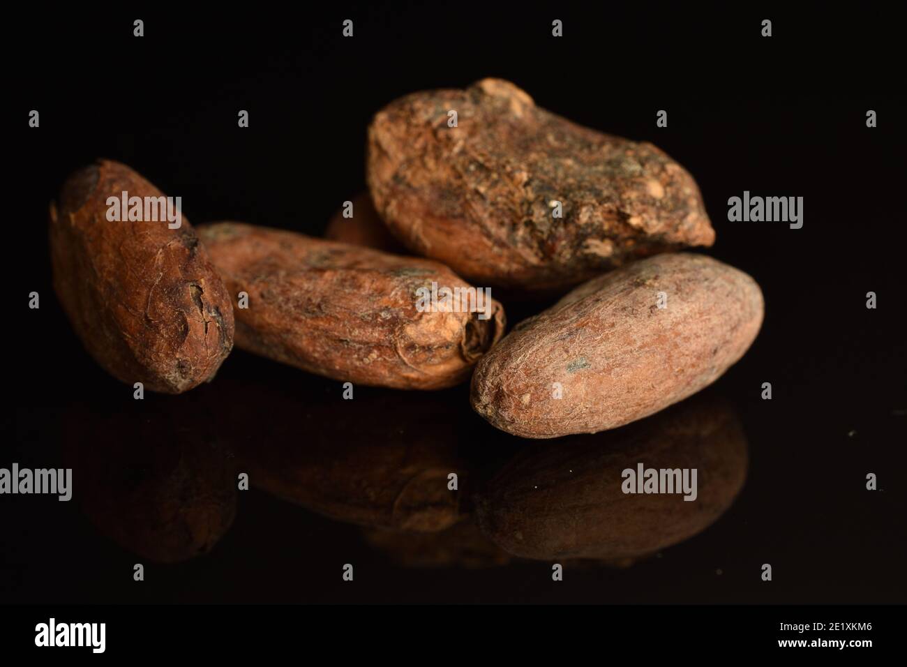 Quatre grains de cacao entiers frits et biologiques bruns sur un arrière-plan noir Banque D'Images