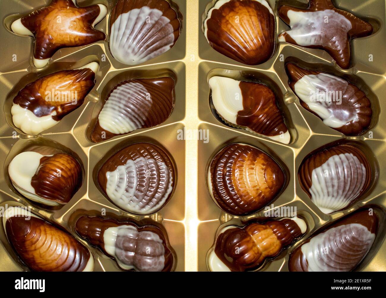 Chocolats belges coquillage Banque de photographies et d’images à haute ...