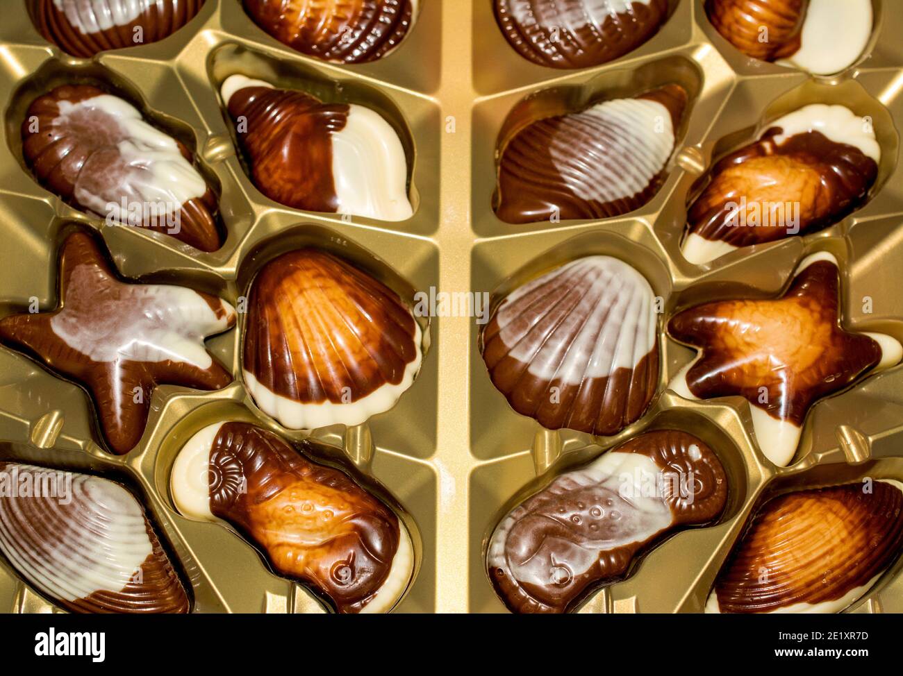 Bonbons au chocolat belge Seashells. Qualité optimale Banque D'Images
