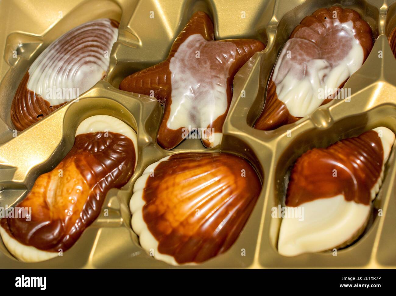 Bonbons au chocolat belge Seashells. Qualité optimale Photo Stock - Alamy