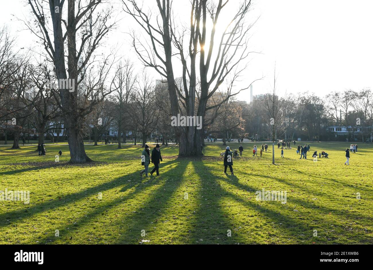 Francfort, Allemagne. 10 janvier 2021. Les gens profitent du soleil dans un parc de Francfort, en Allemagne, le 10 janvier 2021. Crédit: Lu Yang/Xinhua/Alay Live News Banque D'Images