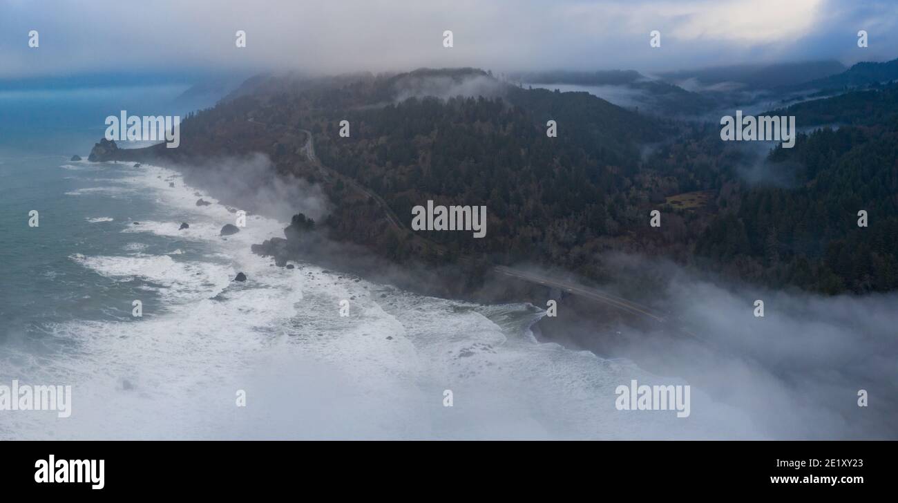 Le brouillard dévie sur la côte sauvage de la Californie du Nord à Klamath. Cette région incroyable abrite les plus belles forêts tempérées du monde. Banque D'Images