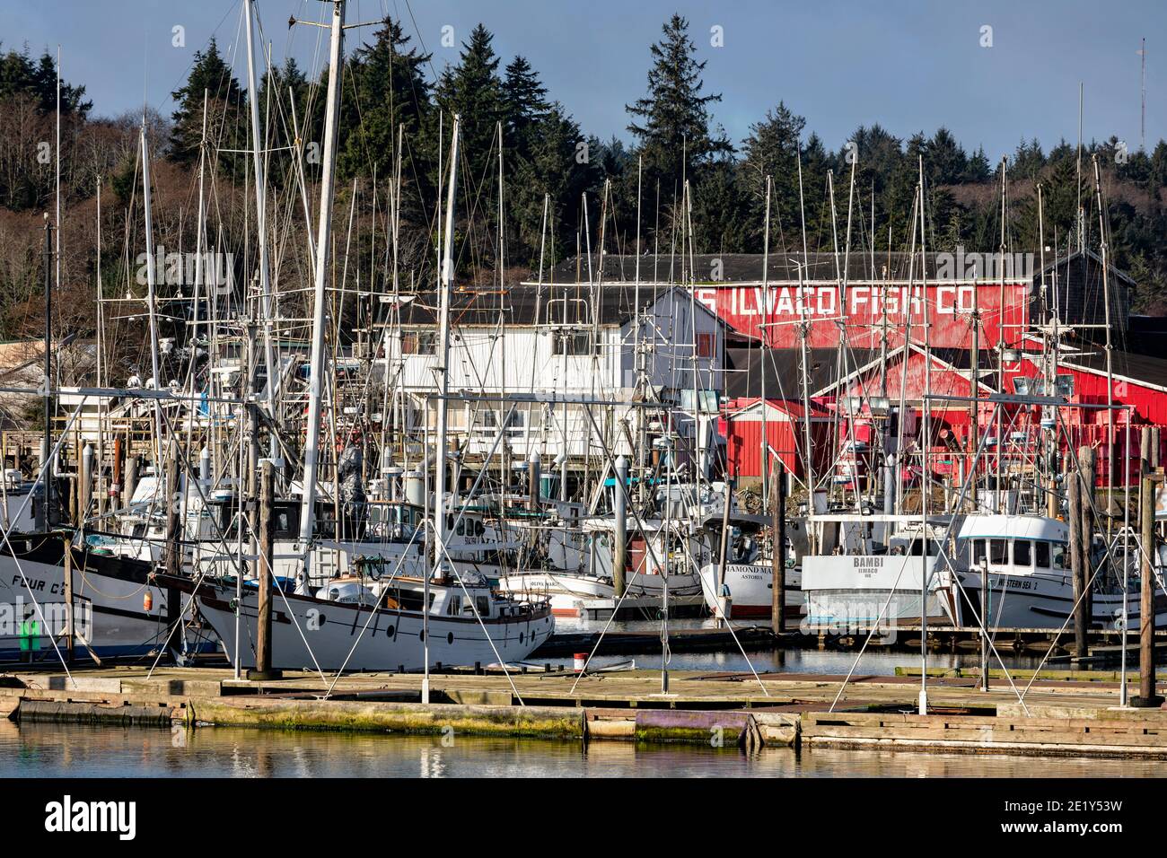 WA20069-00...WASHIHGTON - Port d'Ilwaco près de l'embouchure de la rivière Columbia. Banque D'Images