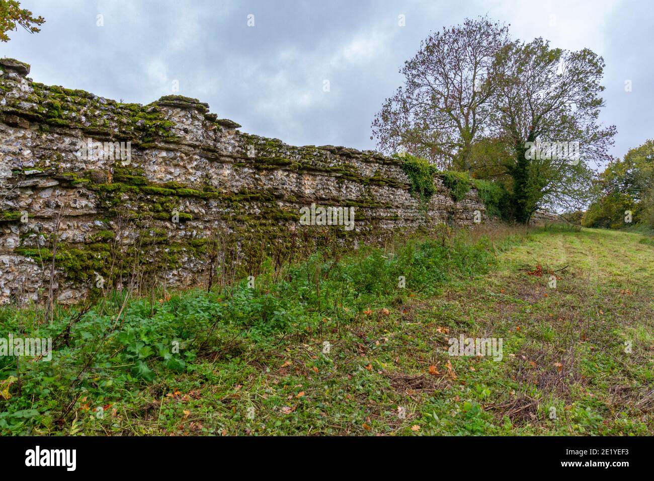 Détail d'une section des murs de la ville romaine de Silchester (Calleva Atrebatum), Wiltshire, Royaume-Uni. Banque D'Images