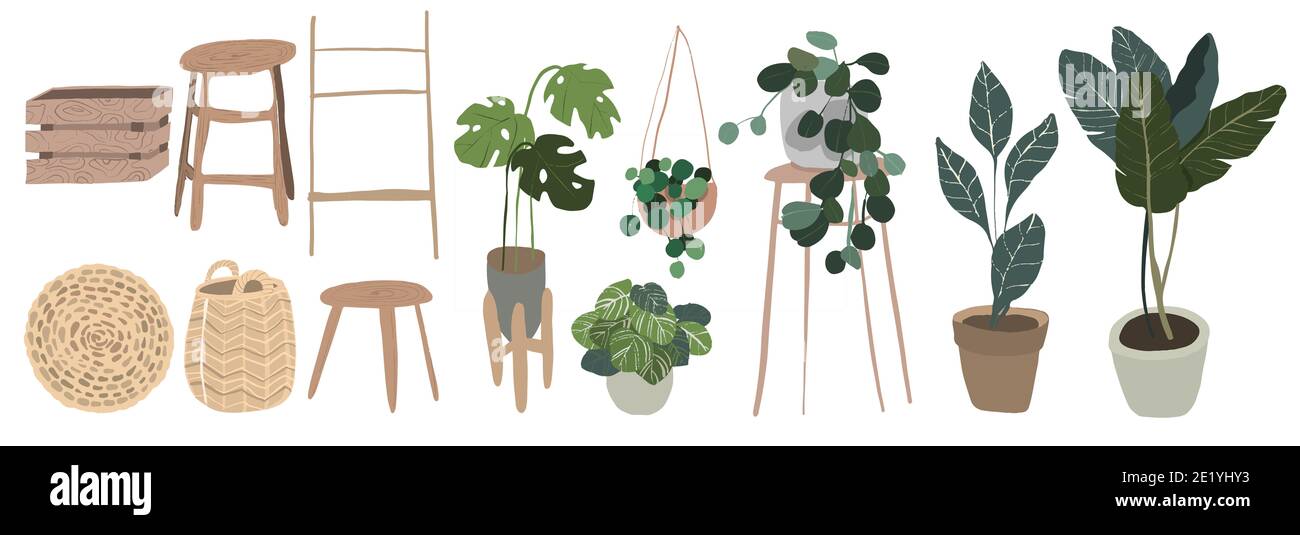 Ensemble de diverses plantes en pot intérieures à l'intérieur de boho . Idéal pour les magazines de jardinage Banque D'Images