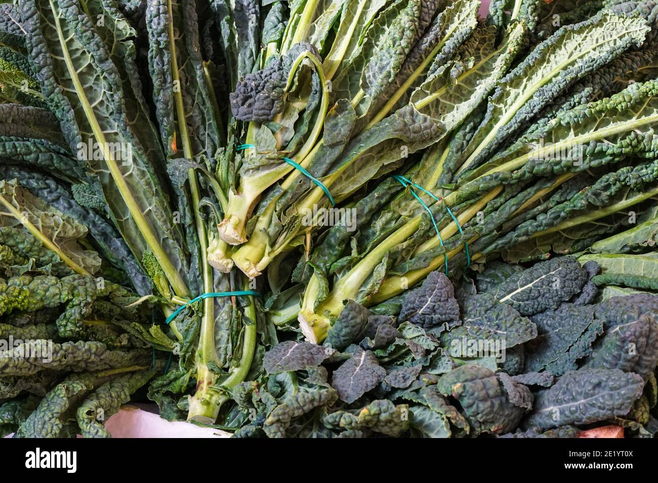 Lacinato kale, camolo nero kale ou kale toscan à vendre à la stalle alimentaire du marché du Rialto à Venise, Italie Banque D'Images