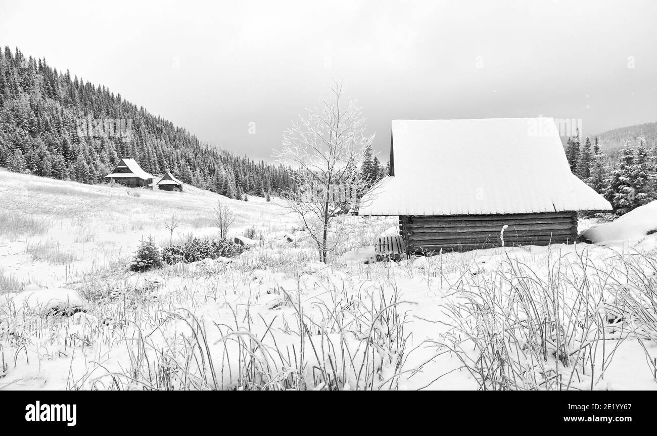 Photo en noir et blanc de la vallée de Gasienicowa (Hala Gasienicowa) avec des huttes en bois pendant l'hiver enneigé, montagnes Tatra, Pologne. Banque D'Images