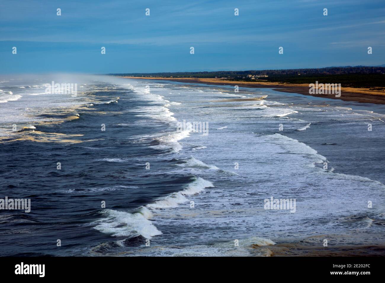 WA19076-00....WASHINGTON - les vagues se dirigeant vers le rivage à long Beach sont vues depuis le sentier Bell's View dans le parc national de Cape décevoir. Banque D'Images