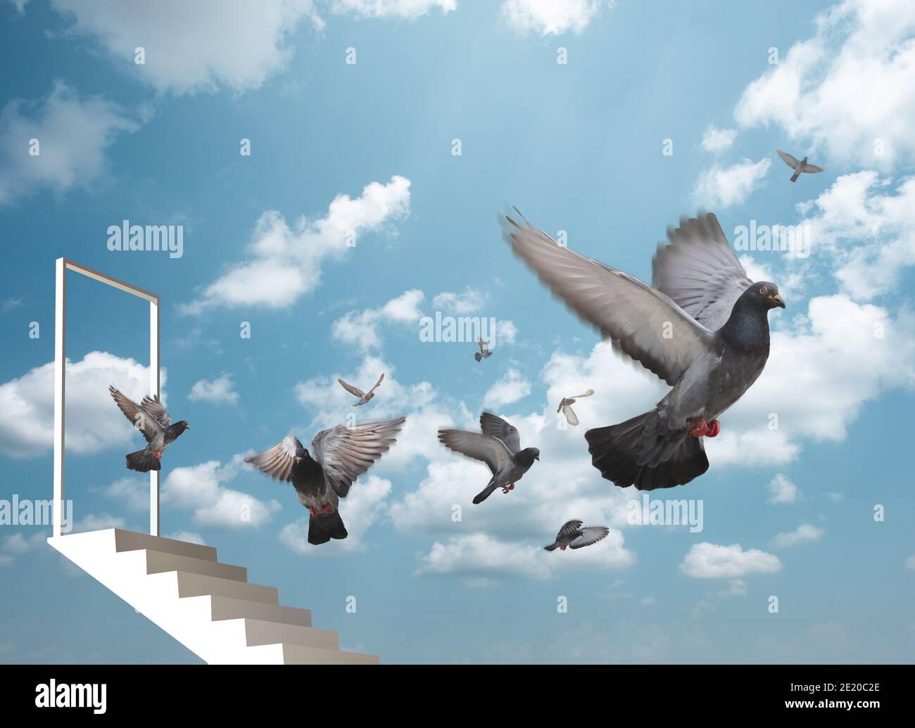 Un troupeau de pigeons a décollé de la porte. Troupeau de pigeons dans le ciel bleu. Banque D'Images