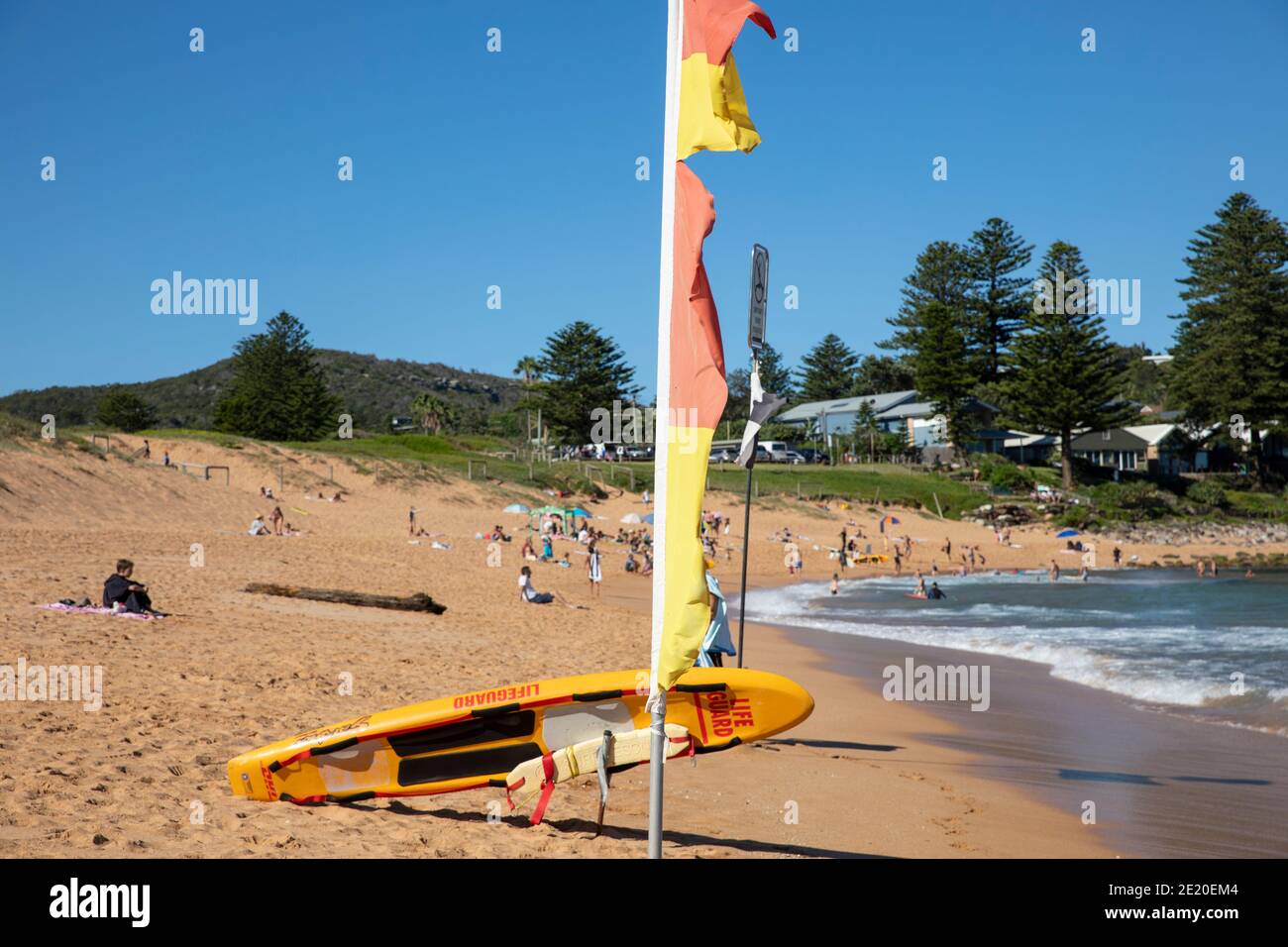 Sydney sauvetage surf surf surf planche et drapeaux rouges et jaunes à Découvrez les zones de baignade sécurisées sur Avalon Beach à Sydney, en Australie Banque D'Images