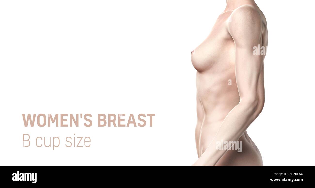 Taille de la coupe de poitrine pour femmes. Poitrine naturelle modèle nu torse. Vue latérale sur les femmes. Rendu 3D Banque D'Images