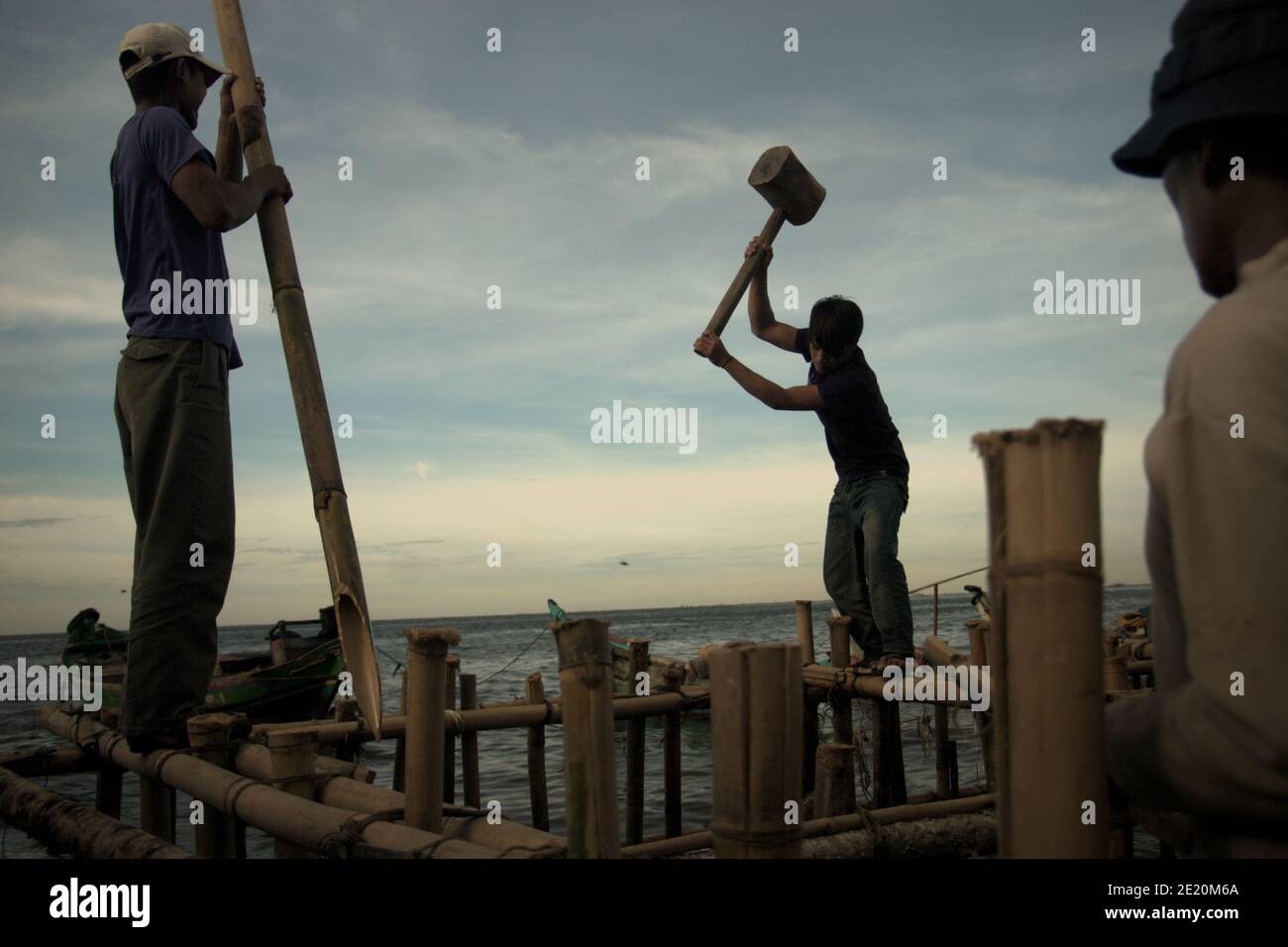 Des hommes construisent une structure côtière à l'aide de poteaux en bambou dans le village de Cilincing, sur la zone côtière de Jakarta, en Indonésie. Photo d'archives (2008). Banque D'Images