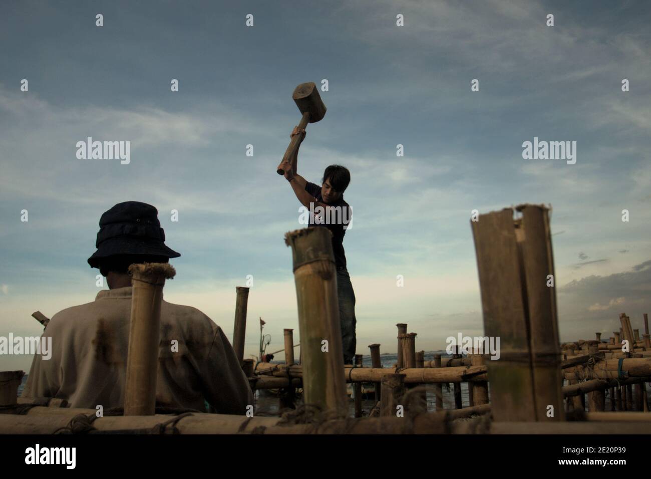 Des hommes construisent une structure côtière à l'aide de poteaux en bambou, un bâtiment à pilotis au-dessus de l'eau de mer dans le village de pêcheurs de Cilincing, sur la zone côtière de Jakarta, en Indonésie. Photo d'archives (2008). Banque D'Images